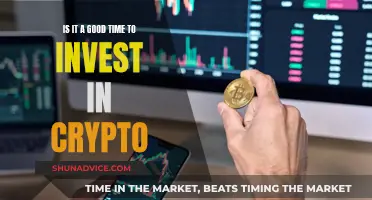 The Future of Crypto: Invest Now or Later?