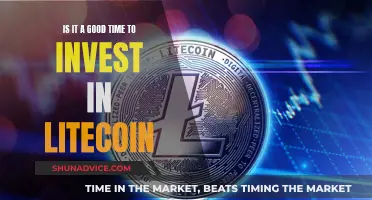 Should You Invest in Litecoin?