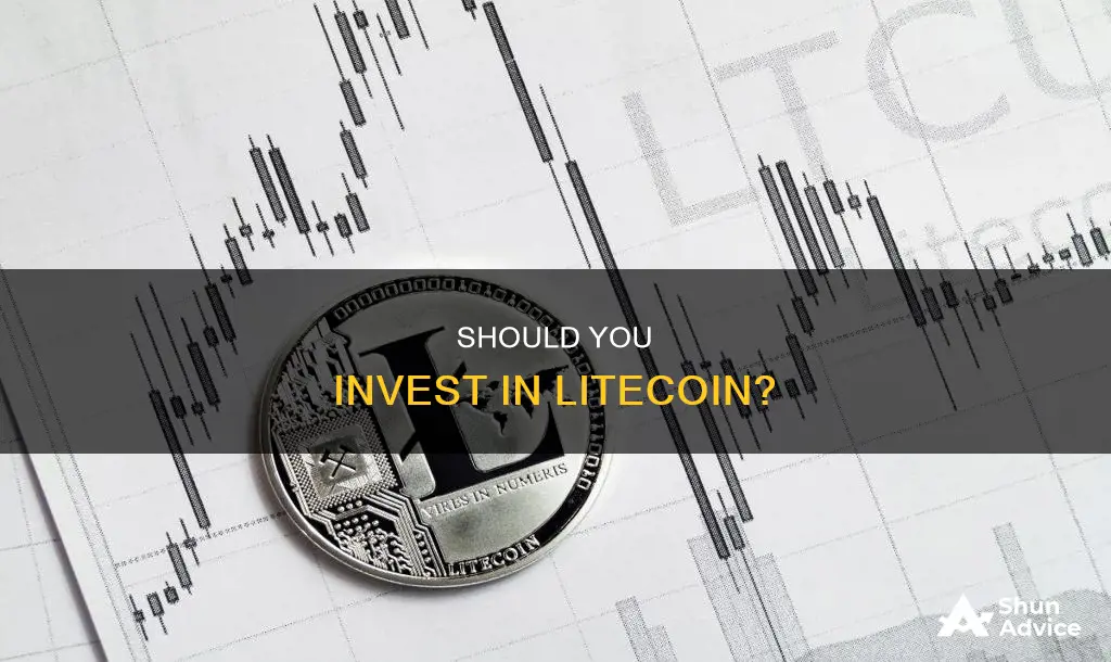 is it a good time to invest in litecoin