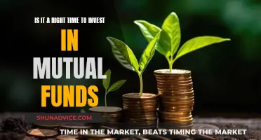 Mutual Funds: Invest Now or Wait?