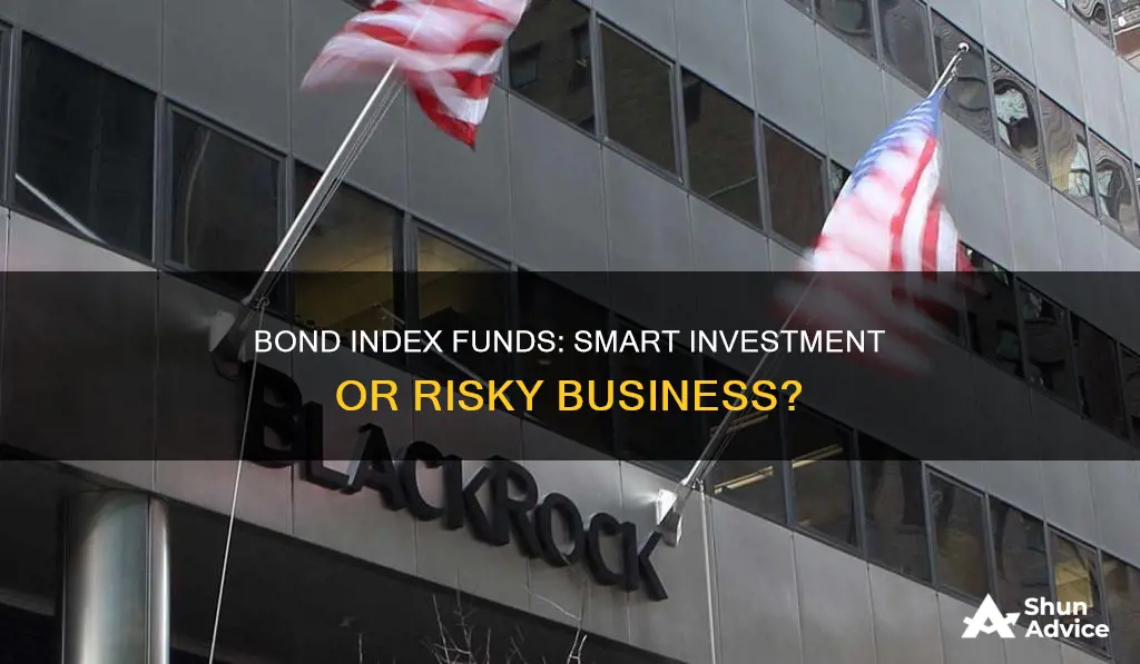 is it advisable to invest in a bond index fund