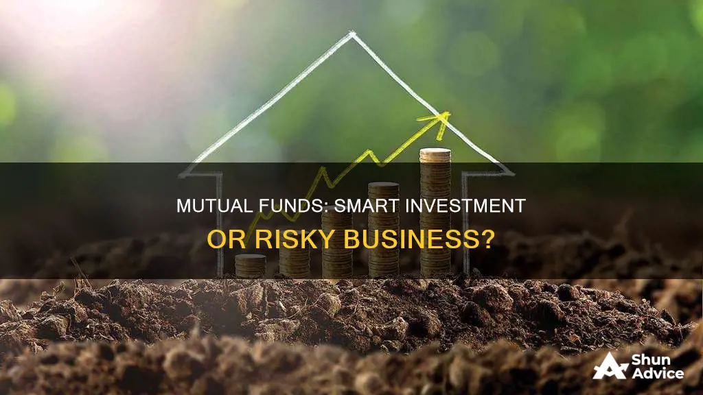 is it advisable to invest in mutual funds