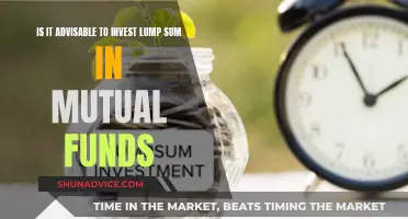 Lump Sum Mutual Fund Investments: Good Idea or Not?