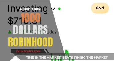 Is $1000 on Robinhood a Wise Investment Decision?