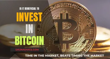 Bitcoin Investment: Worth the Risk?