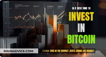 Bitcoin Investment: Is Now the Right Time?