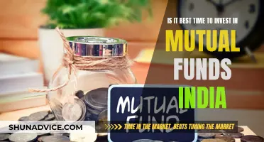 Mutual Funds in India: Invest Now or Later?