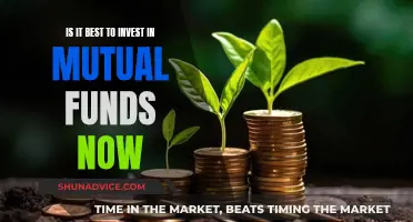 Mutual Funds: Invest Now or Miss Out?