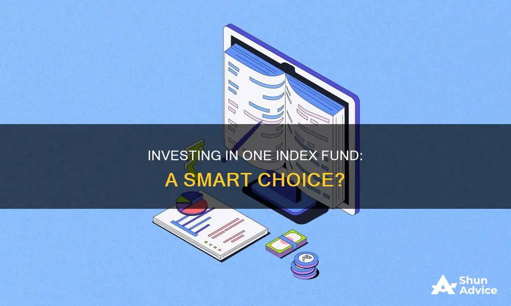 is it better to invest in 1 index fund