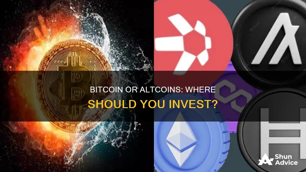 is it better to invest in bitcoin or altcoins