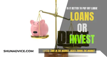 Large Loans or Investments: Where Should Your Money Go?