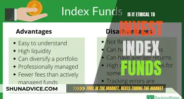 Index Funds: Ethical Investment or Unregulated Risk?