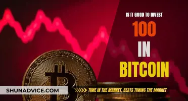 Investing in Bitcoin: Is $100 a Good Starting Point?