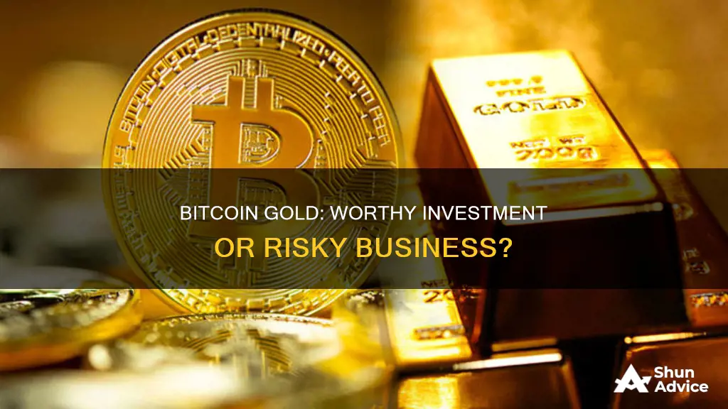 is it good to invest in bitcoin gold