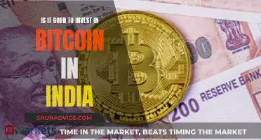 Bitcoin in India: Worth Investing or Not?