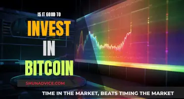 Bitcoin Investment: Worth the Risk?