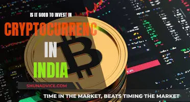 Cryptocurrency in India: Worth Investing or Not?