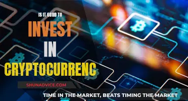 Cryptocurrency Investment: Wise or Risky Move?