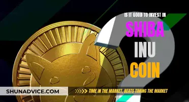 Shiba Inu Coin: Worthy Investment or Risky Business?