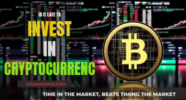 Cryptocurrency Investment: Late Entry, Worthy Venture?