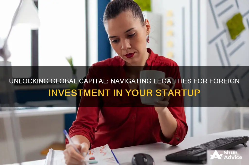 is it legal to take foreign investment for my startup