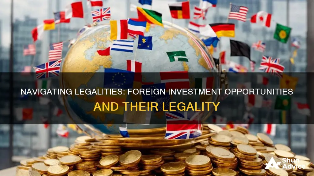 is it legal to take foreign investment