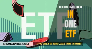 ETFs: Smart Single Investment or Risky Business?