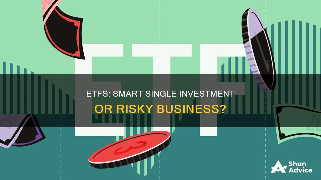 is it okay to just invest in one etf