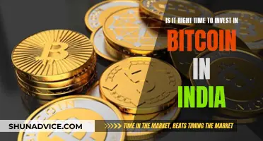 Bitcoin in India: Invest Now or Miss the Boat?