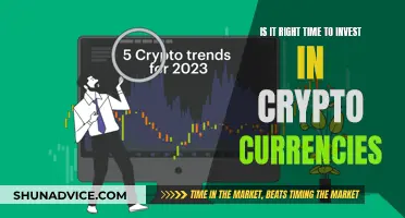 Crypto Investment: Right Timing for the Wise Investor