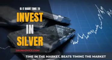 Silver Investment: Right Time?