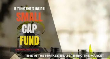 Small-Cap Funds: Invest Now or Miss Out?