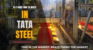 Tata Steel: Invest Now?