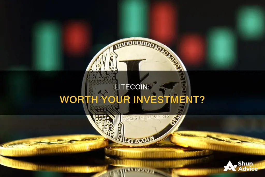 is it right to invest in litecoin