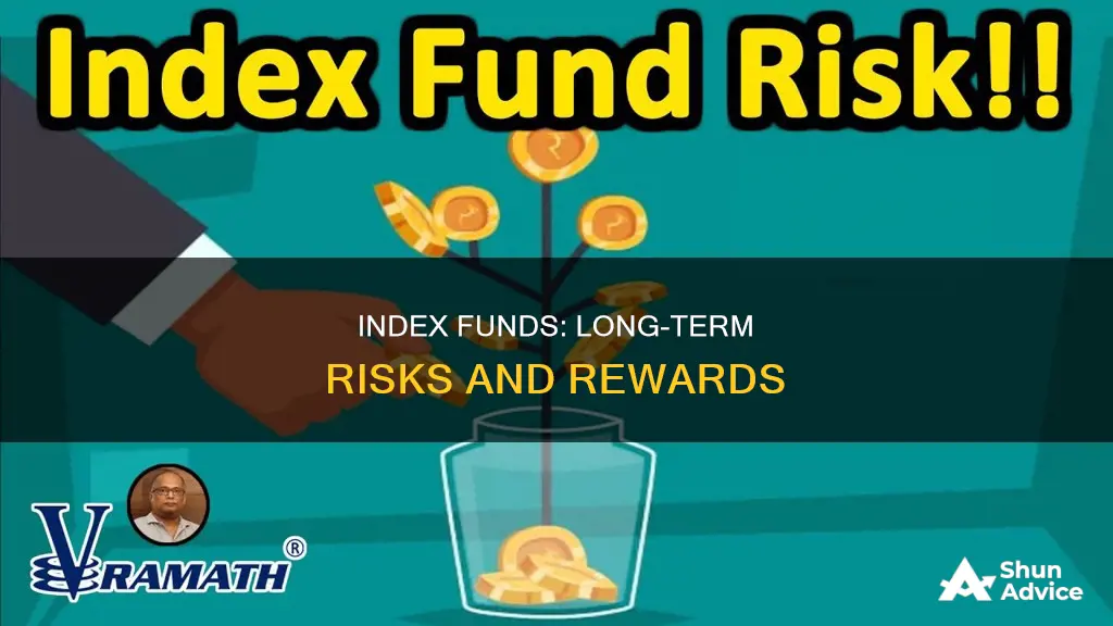 is it risky investing 100 index fund long term