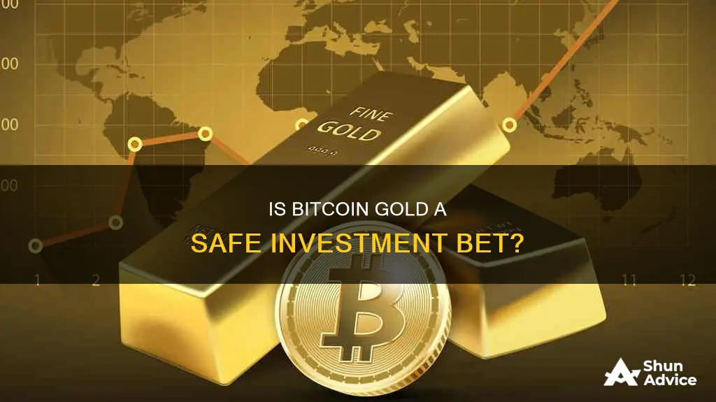 is it safe to invest in bitcoin gold