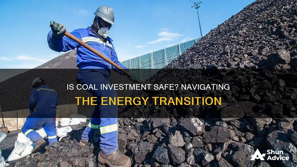 is it safe to invest in coal