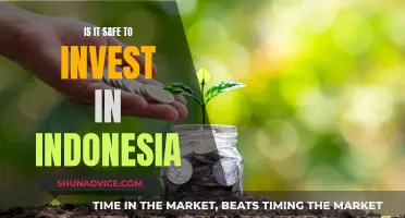 Is Indonesia's Economy Safe for Investment? Exploring the Risks and Rewards