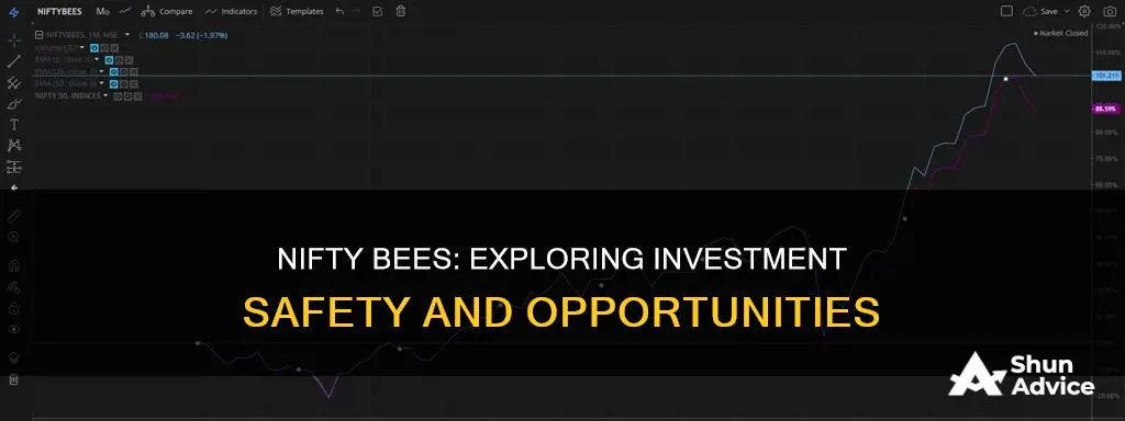 is it safe to invest in nifty bees