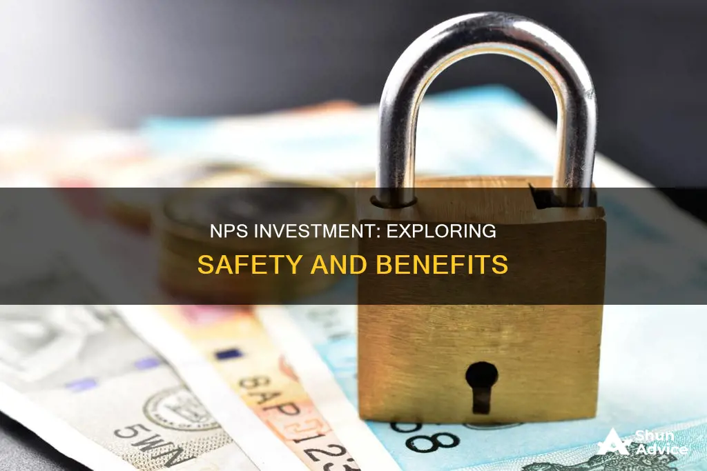 is it safe to invest in nps