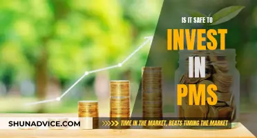 Is PMs Safe Investment? Unlocking the Risks and Rewards