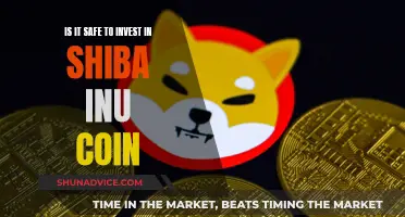 Shiba Inu Coin: Safe Investment or Risky Business?