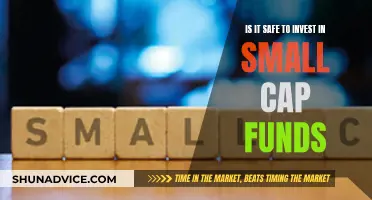 Small-Cap Funds: Worth the Investment Risk?