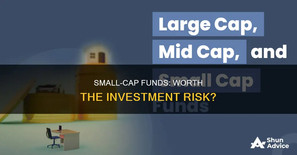 is it safe to invest in small cap funds