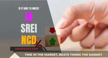 SREI NCD Investment: Is It Safe?