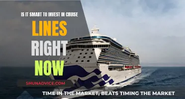 Cruise Lines: Worth the Investment Risk?