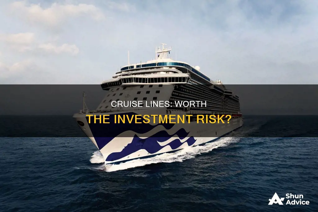 is it smart to invest in cruise lines right now