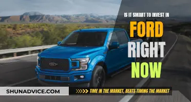 Ford: Invest Now or Never?