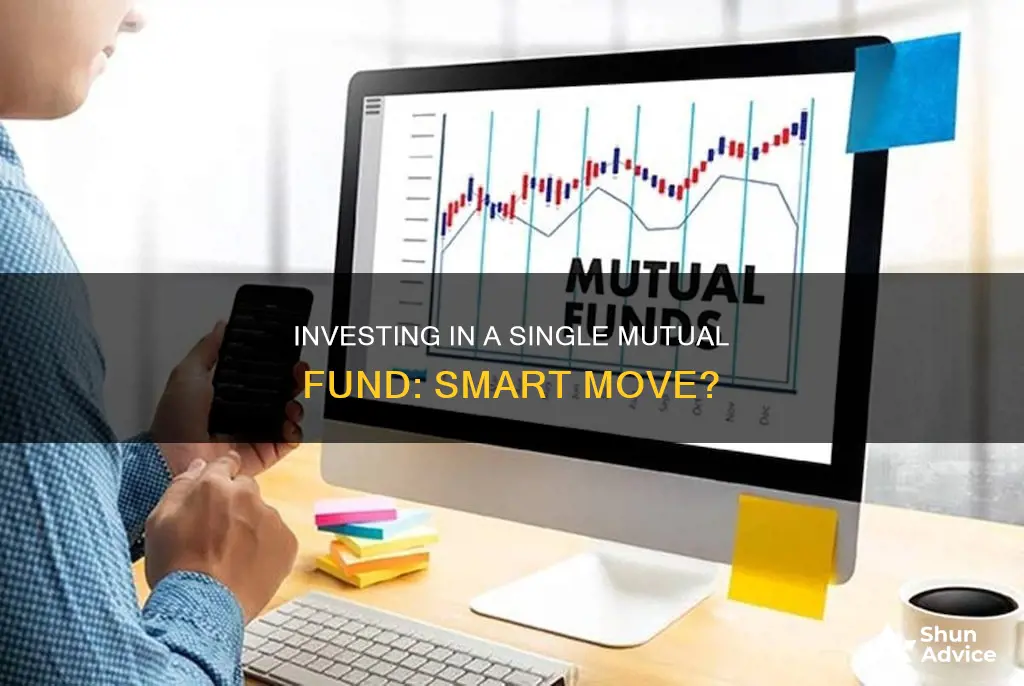 is it smart to invest in only one mutual fund