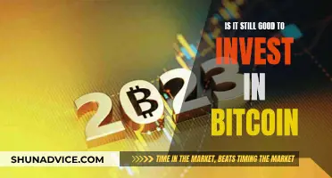 Bitcoin Investment: Still Worth It?